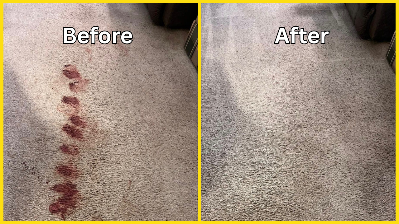 Royal Carpet Cleaning (13)