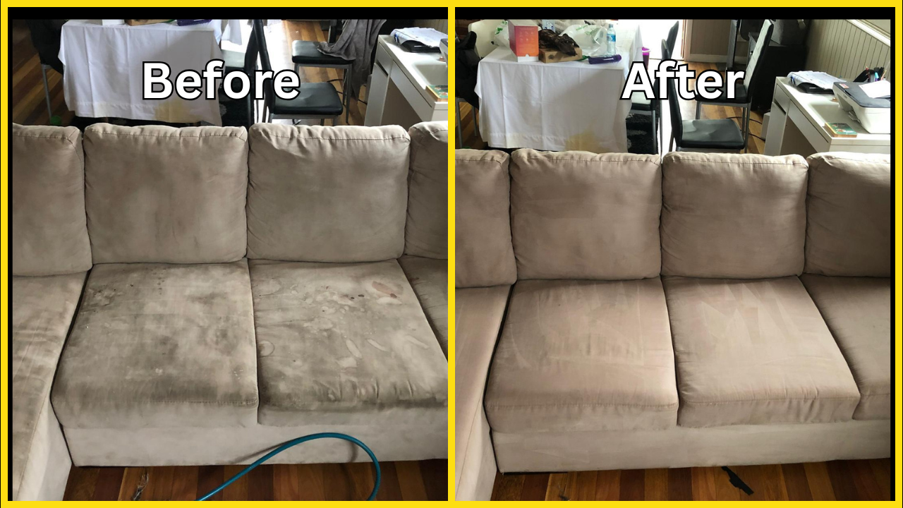 Royal Carpet Cleaning (14)