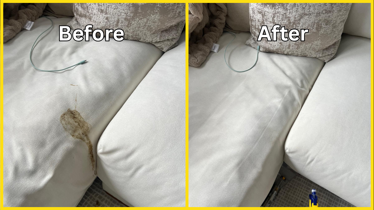 Royal Carpet Cleaning (15)